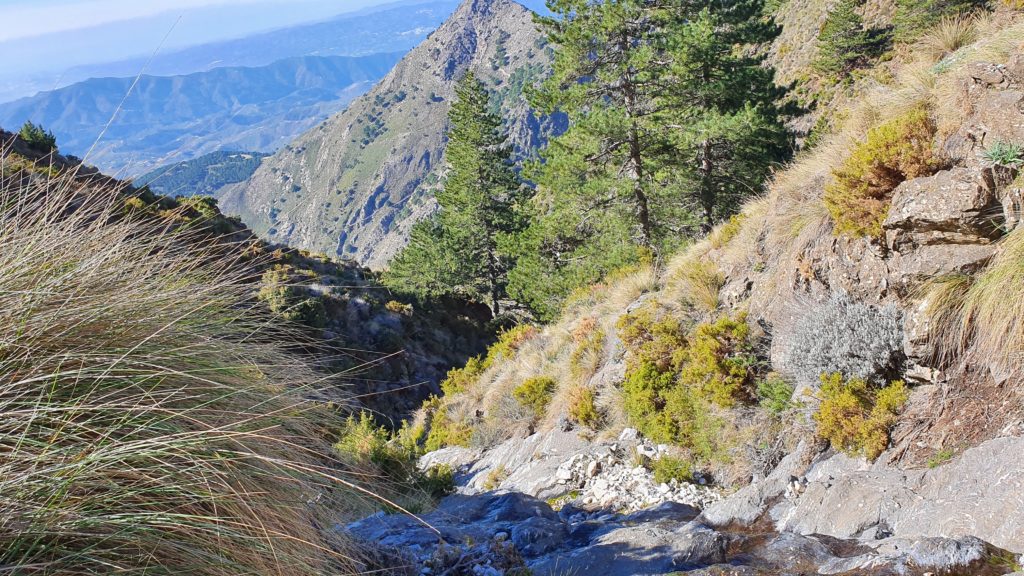 Barranco del Río Encina. Segundo afluente