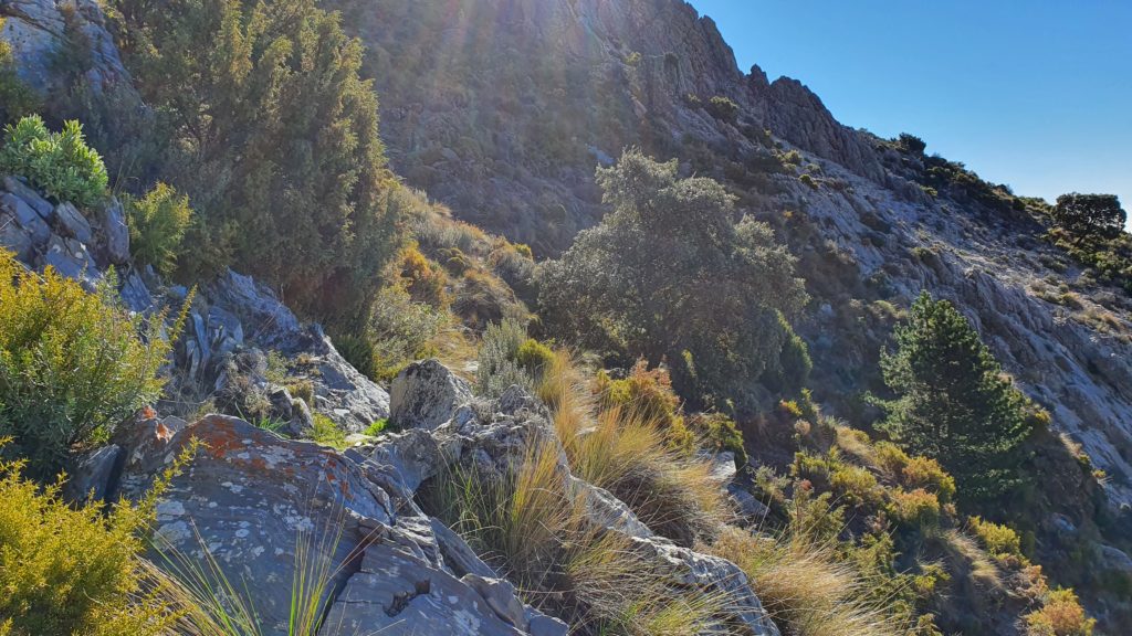 Superando los riscos de piedra por su derecha