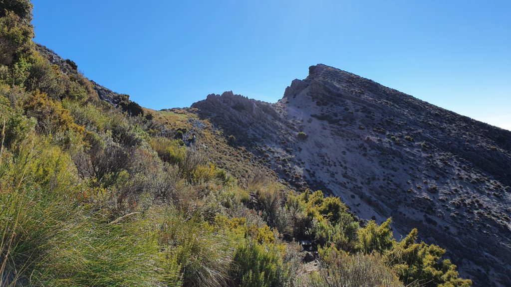 Vista al Collado de la Cuna desde el borde del risco