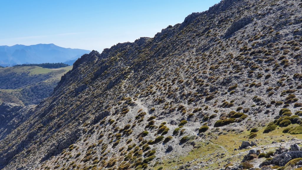 Collado de la Cuesta Pardilla. Sendero a las Llanadas