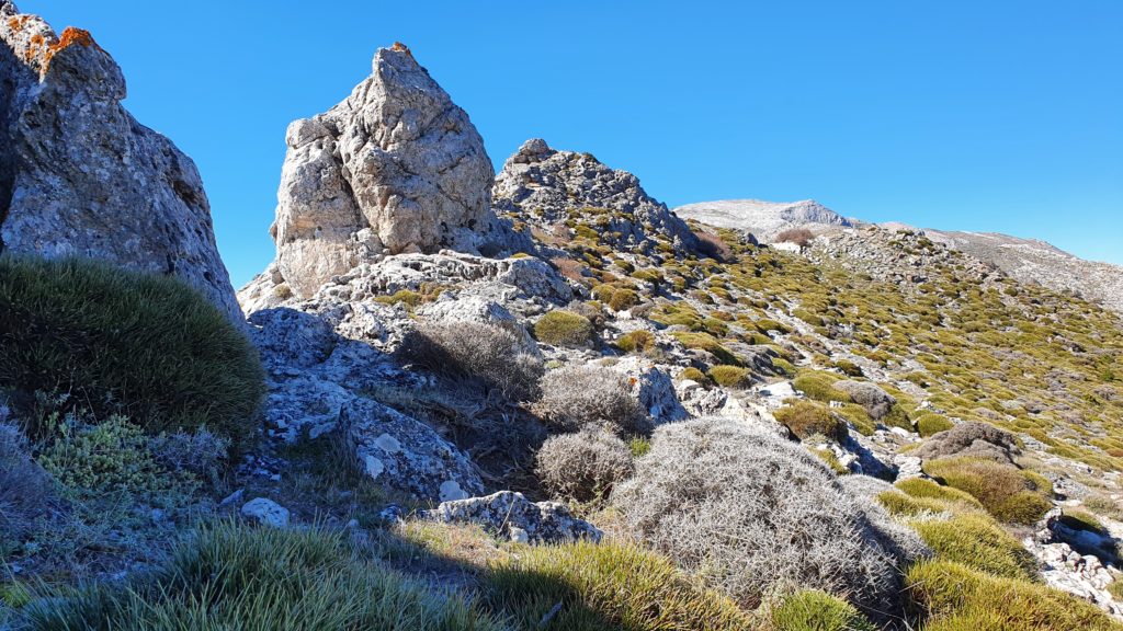 En la cresta rocosa