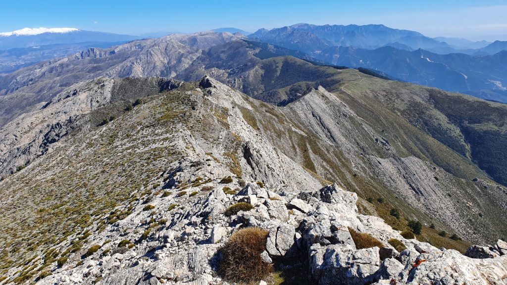 Morrón de Tejeda por Collado de la Cuna. Cresta del Morrón desde la primera cima