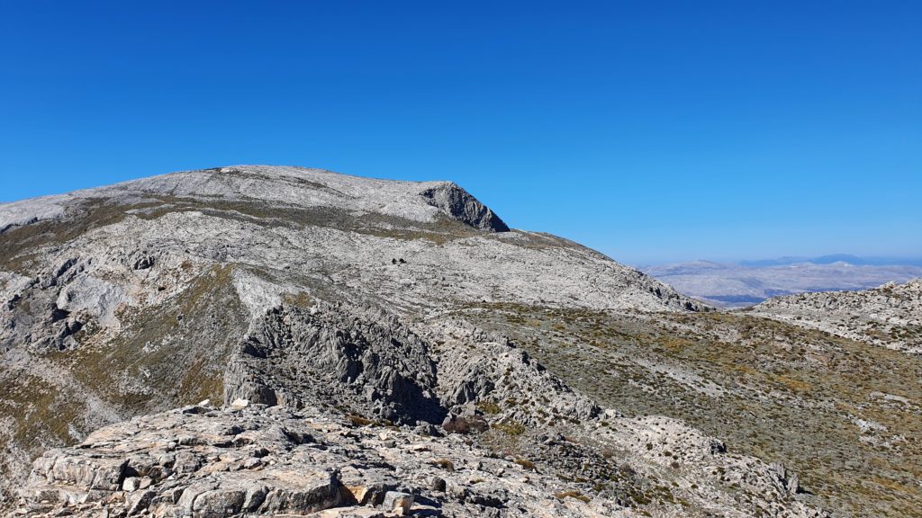 Morrón de Tejeda por Collado de la Cuna. Vistas a Cima 2