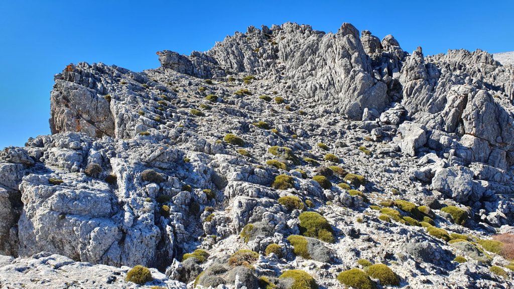 Morrón de Tejeda por Collado de la Cuna. Trepando a Cima 2