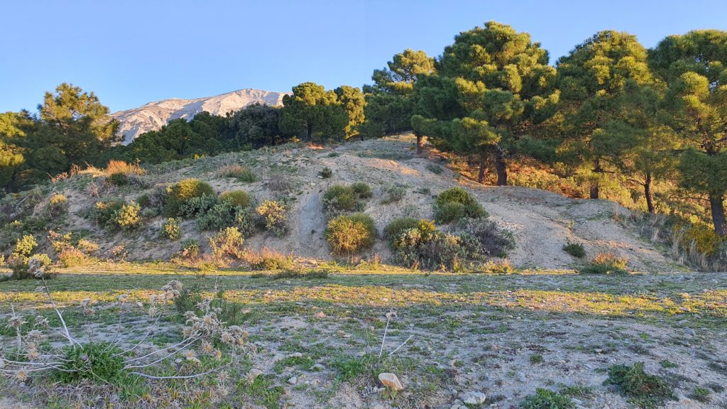 Morrón de Tejeda por Collado de la Cuna. ortafuegos 2