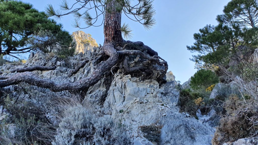 Sendero al Puerto de Frigiliana