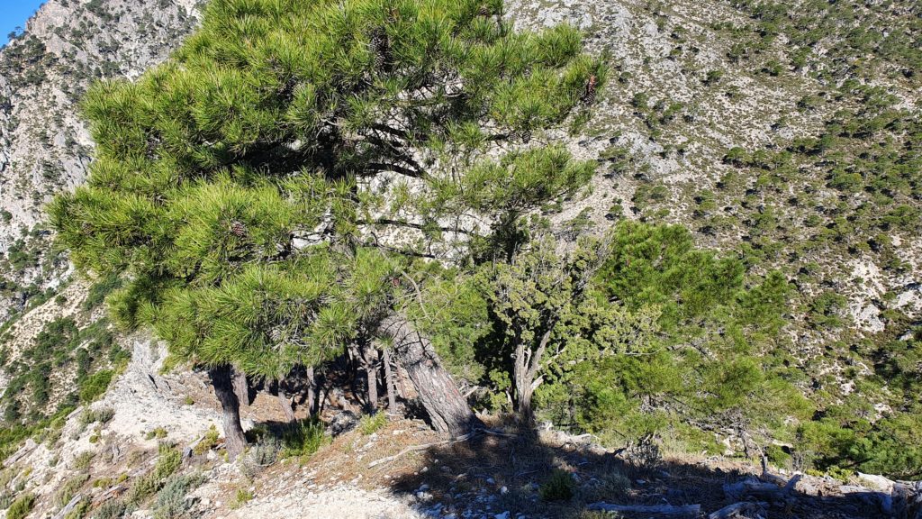 Sendero al Mirador del Agua