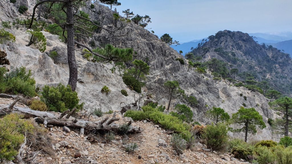 Sendero hacia la Cresta de los Civiles