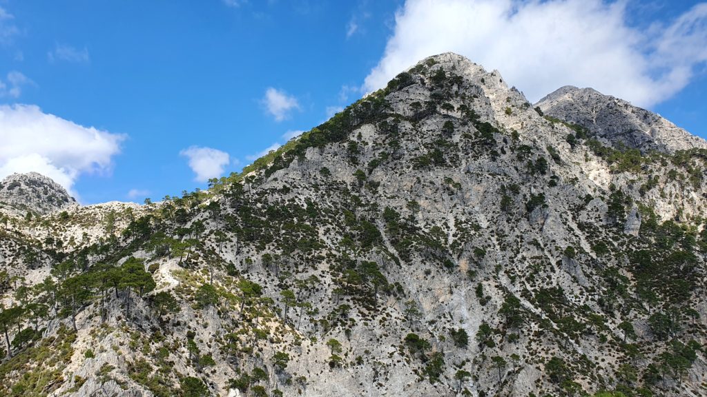 Vista al Cerro de la Venta de Panaderos y al Lucero