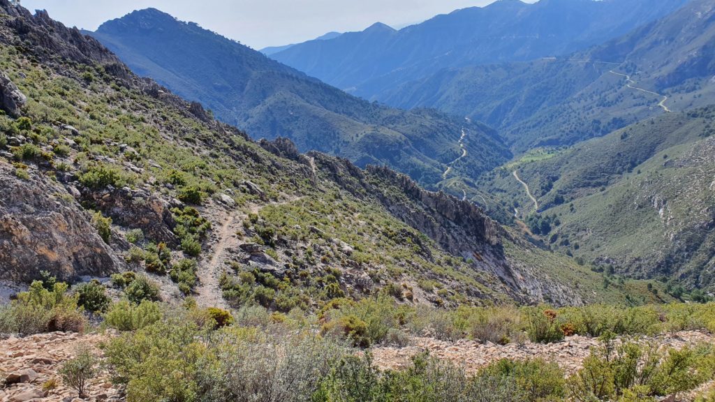 Sendero de descenso del Collado de los Bojes