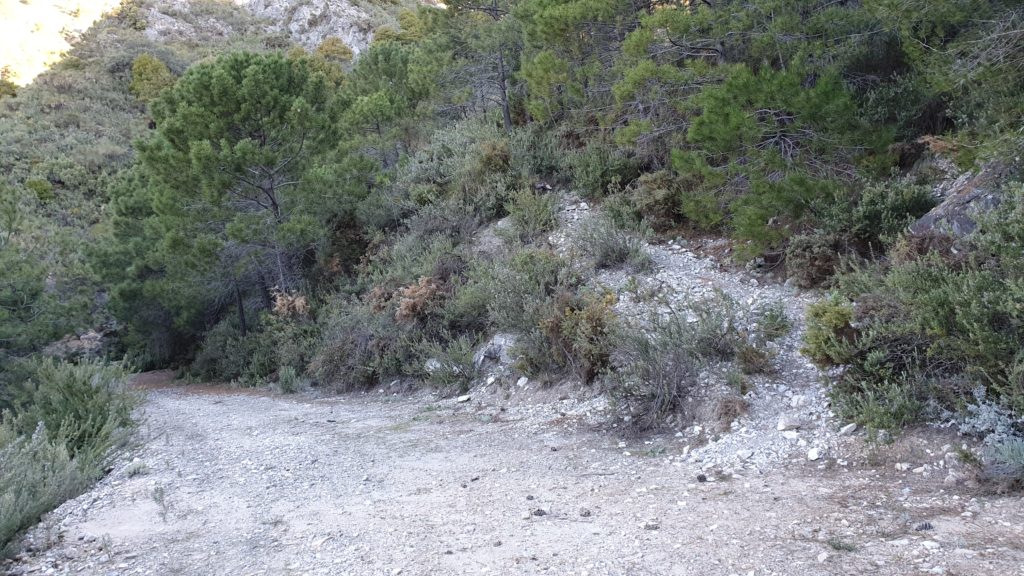 Sendero al Puerto de Frigiliana