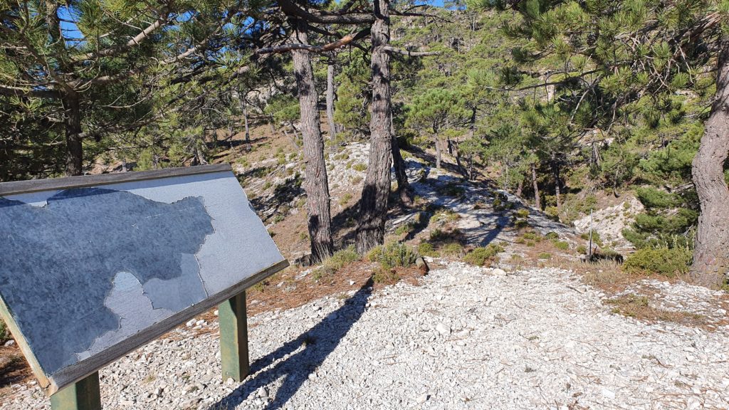 Sendero al Cerro del Caracolillo