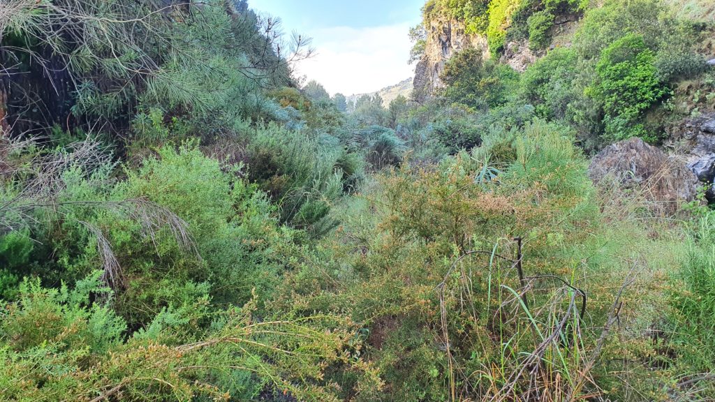 Barranco de Cambril