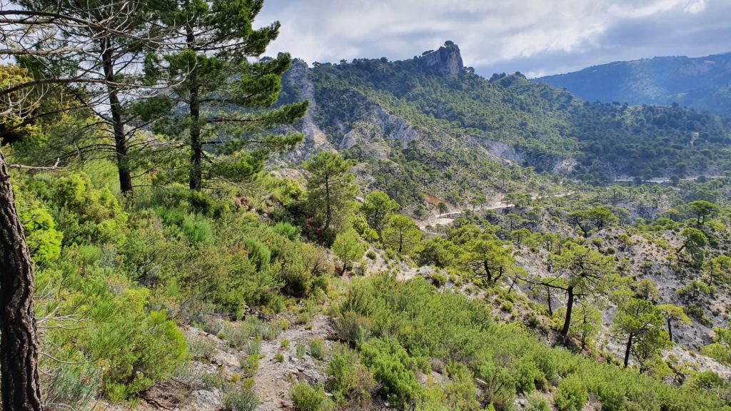 Sendero al Camino de la Plancha