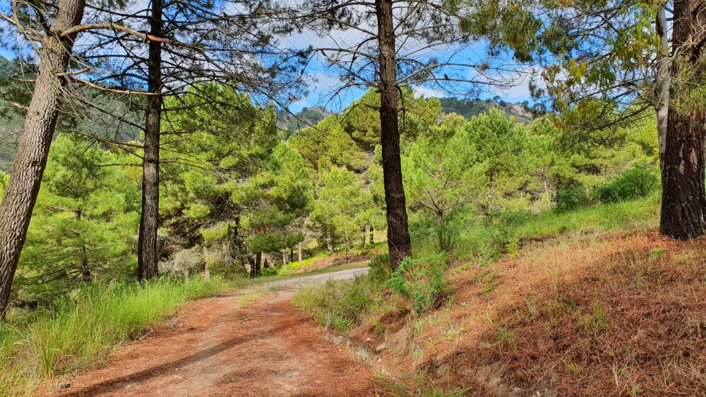 Camino de la Plancha