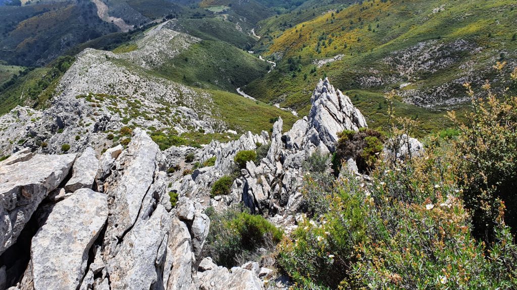 Vista atrás desde lo alto