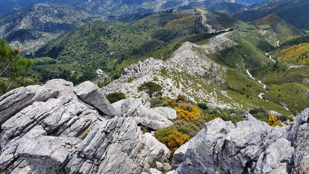 Vista atrás desde la cresta