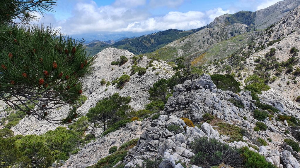 Descenso de Cerro Cabañeros