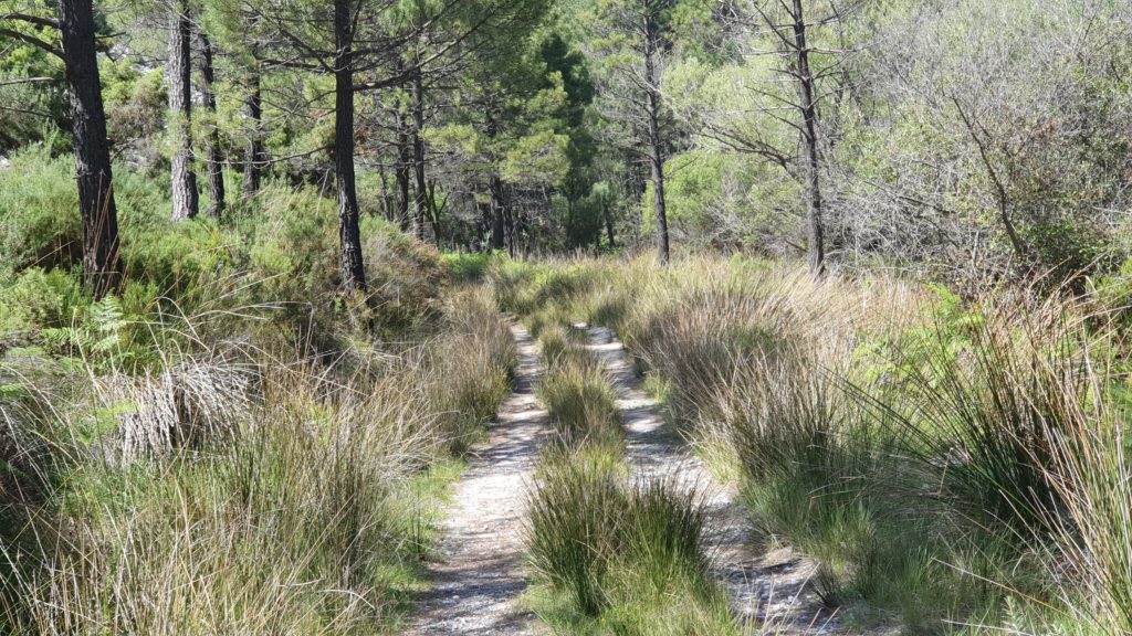 Pista cómoda y tranquila