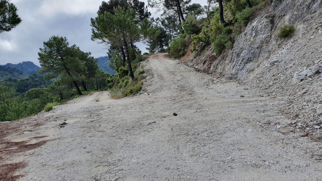 Cruce a las Casetas de la Monticana