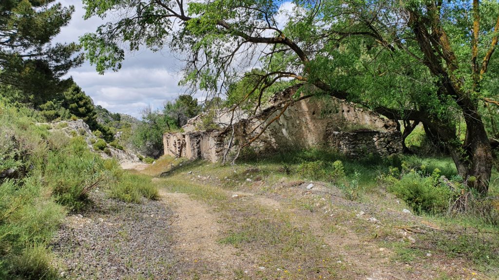 Cortijo Cabañeros