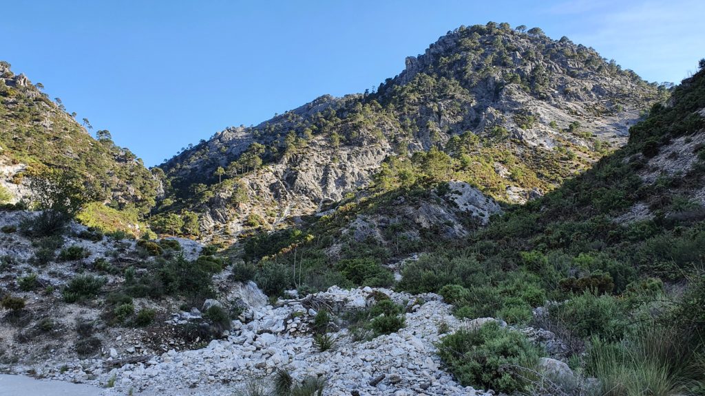 Barranco de las Cuevas. Cerro de los Machos detrás