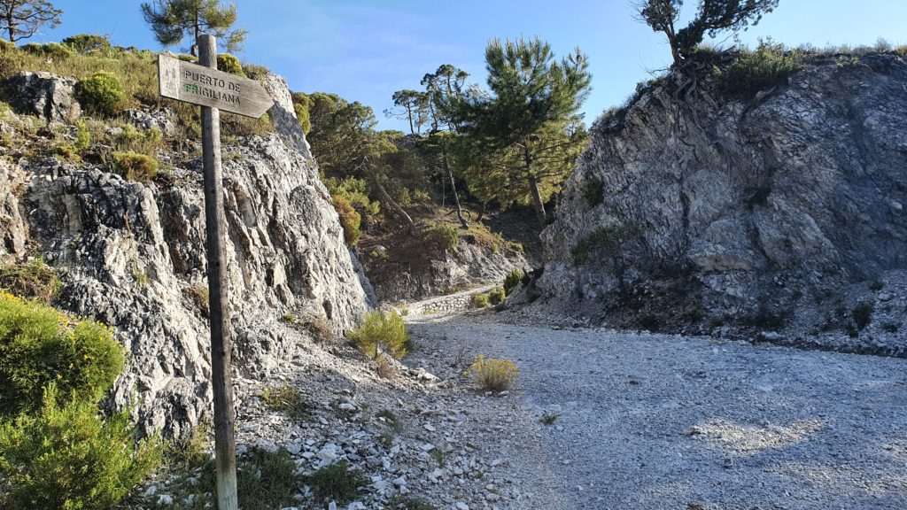 Cruce Puerto de Frigiliana