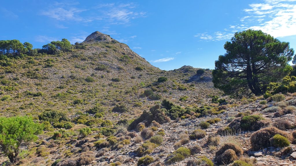 Navachica y Tajos del Sol en Sierra Almijara. Puerto de la Orza