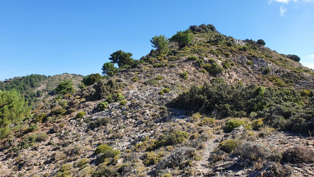 Cerro del Barco