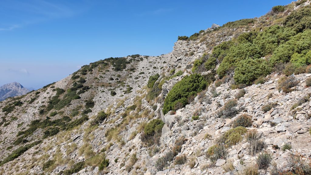 Loma de los Pelados