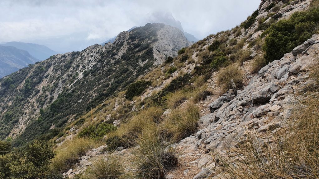 Tajos del Sol. Senda de descenso hacia el Nío del Buitre