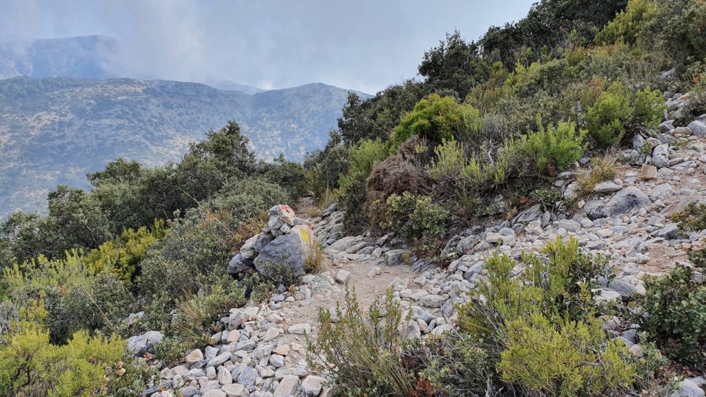 Cruce con sendero del Almendrón