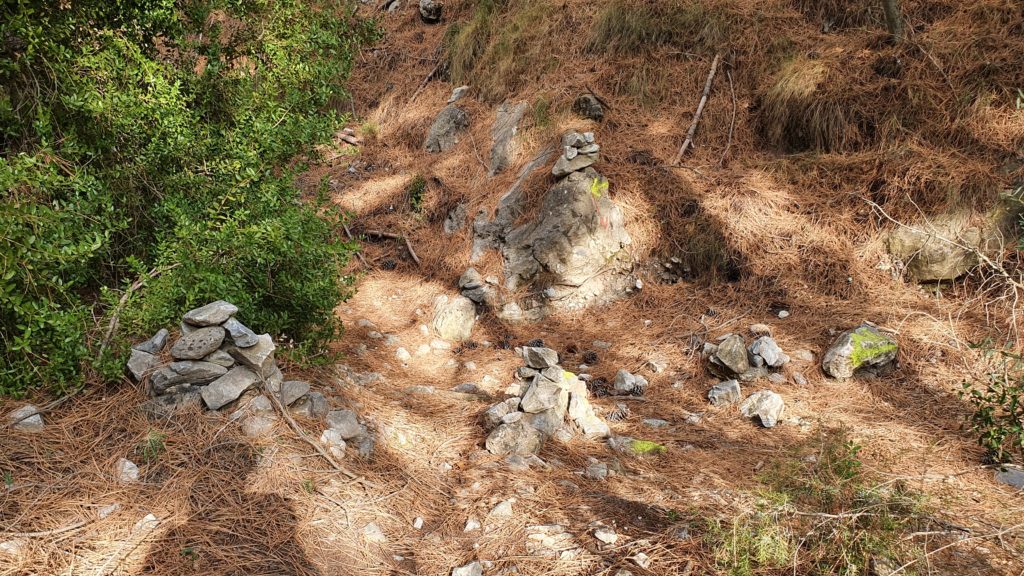 Cruce con Barranco de Cazadores