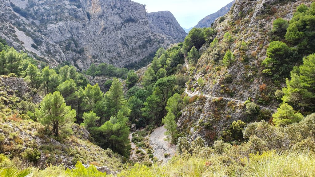 Sendero por zonas altas