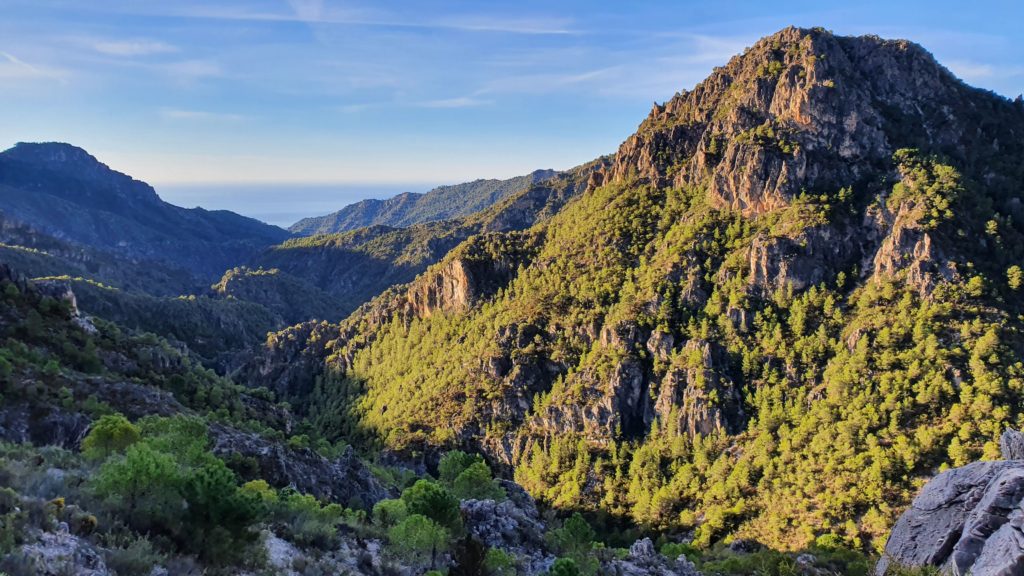 Valle del río Higuerón
