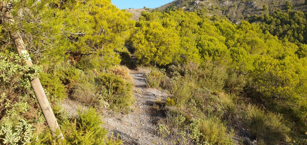 Sierras Cabrilla y Prieta. Cruce de Cuerda Pino Alto