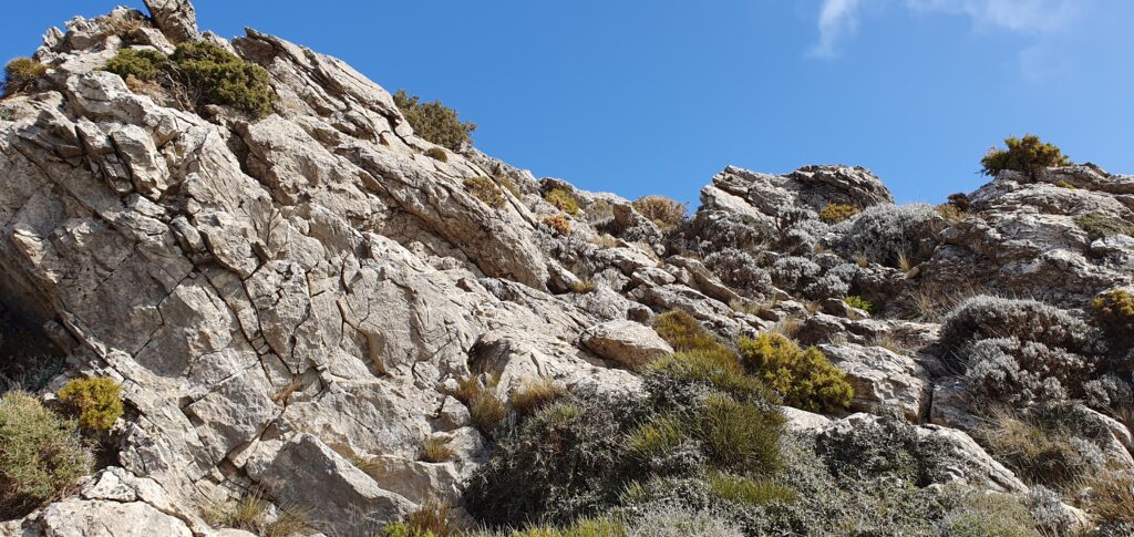 Zona de trepada