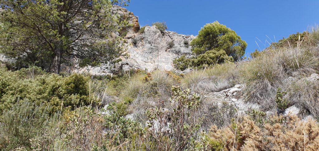 Collado de las Ventanillas. Subir buscando el sendero