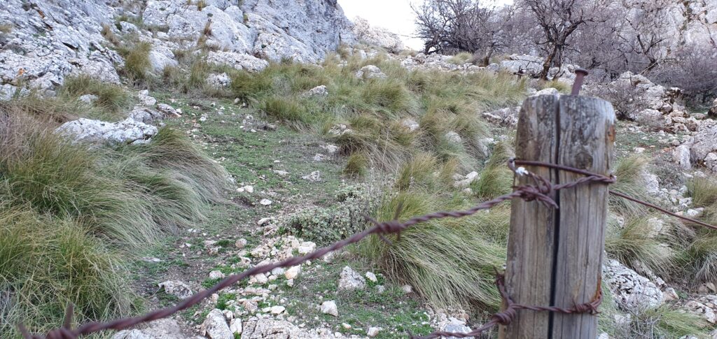 Pico Chamizo Alto. Valla con cierre