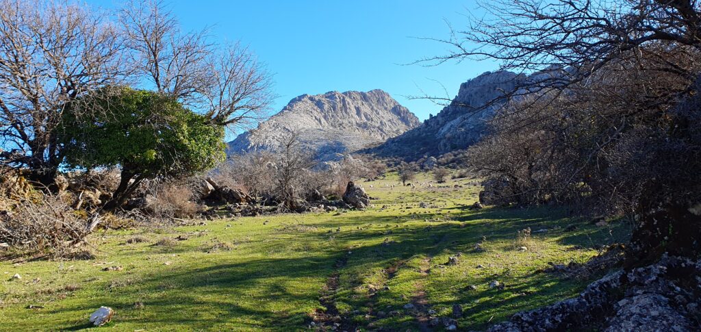 Hacia el Puerto de los Pérdigones