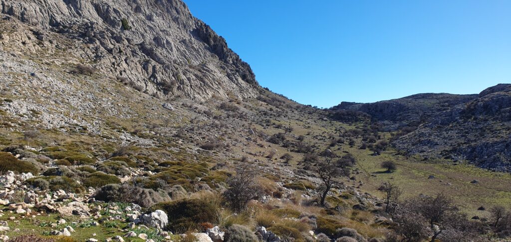 Pico Chamizo Alto. Puerto de Perdigones