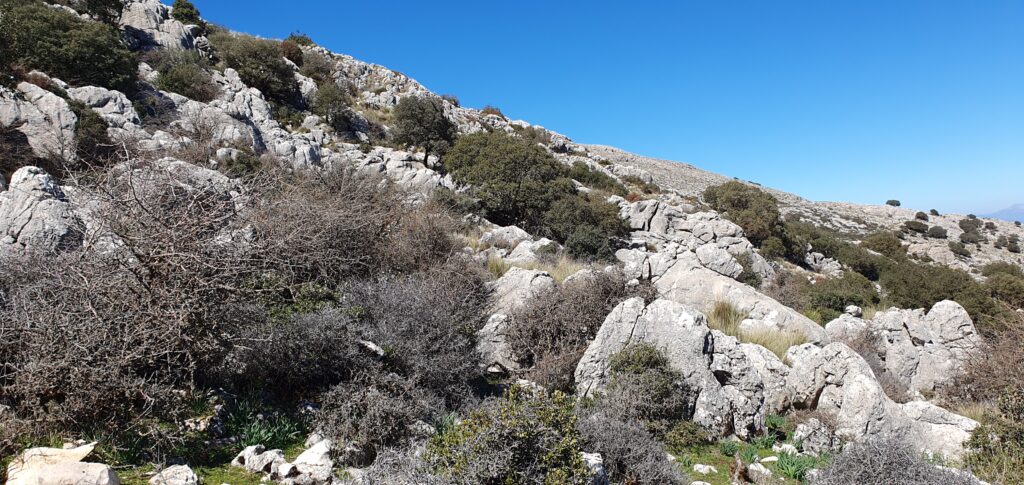 Hacia siguiente estribación de la sierra