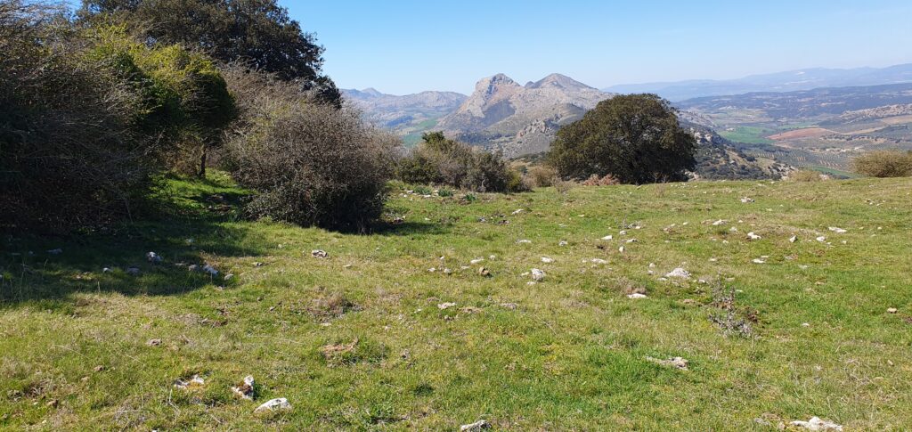 Desvío en la dirección de descenso del GR 7