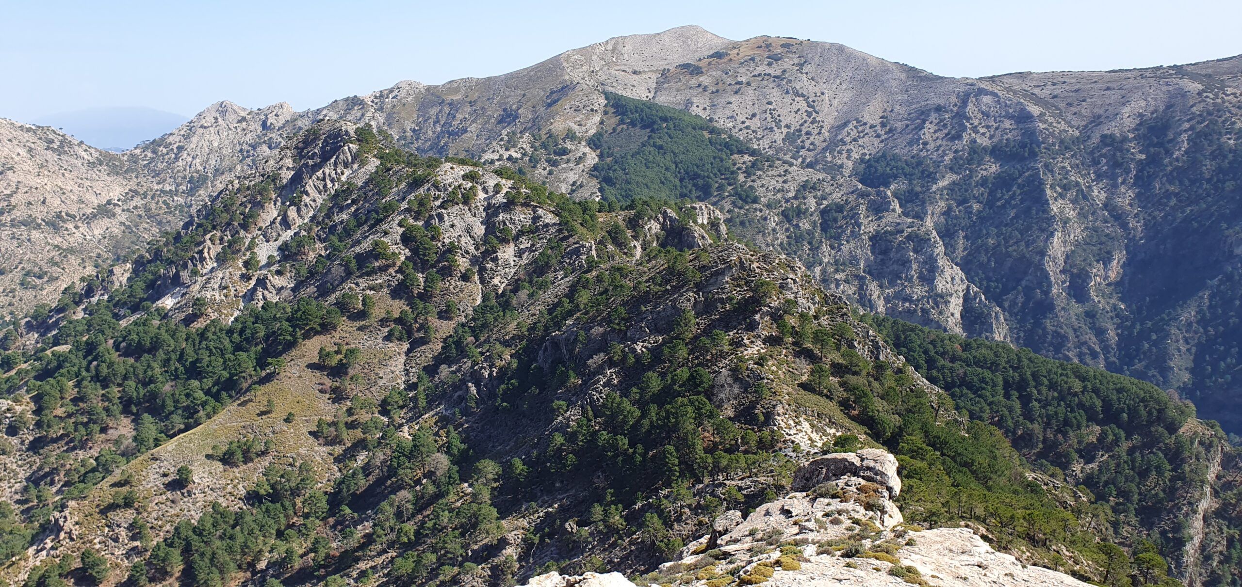 Pico Navachica